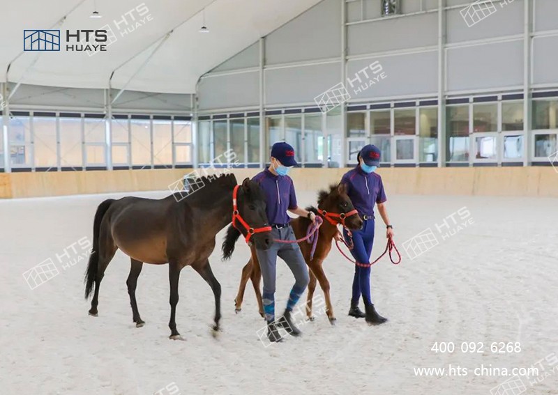 马术馆篷房为中幼学发展马术特色教育提供了有力支持 马术馆篷房为中幼学发展马术特色教育提供了有力支持